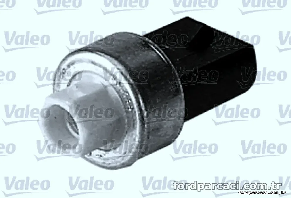 VALEO 509666 BASINC MUSURU FORD - Valeo - VALEO 509666