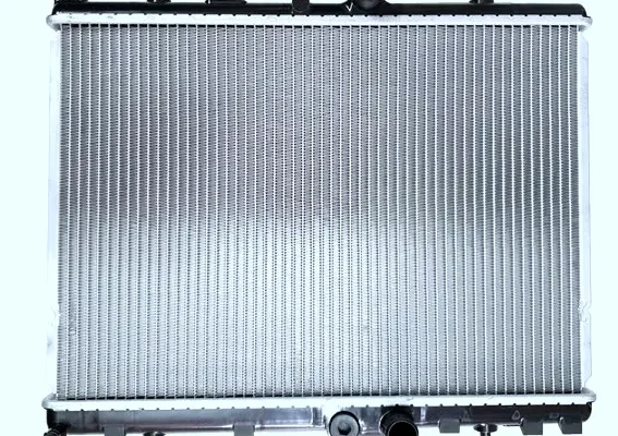BSG Motor Radyatörü 163319B