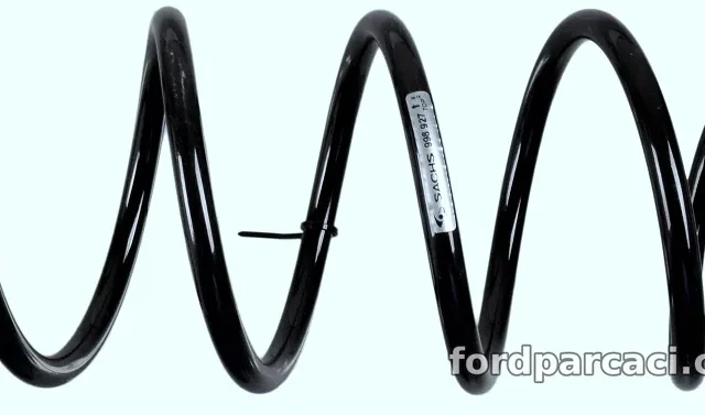 SACHS 998927 Helezon Yayı